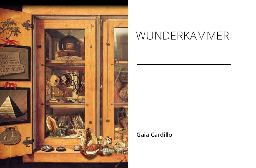 Wunderkammer